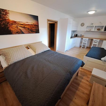 Apartmany - Male Lipno Cerna v Posumavi Luaran gambar