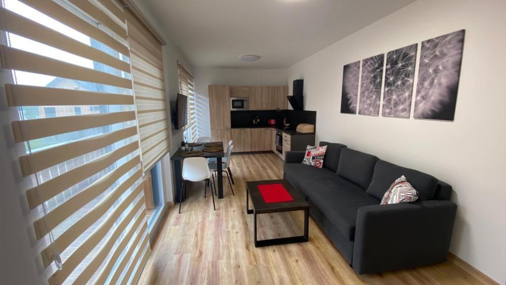 Apartmany - Male Lipno Cerna v Posumavi Luaran gambar