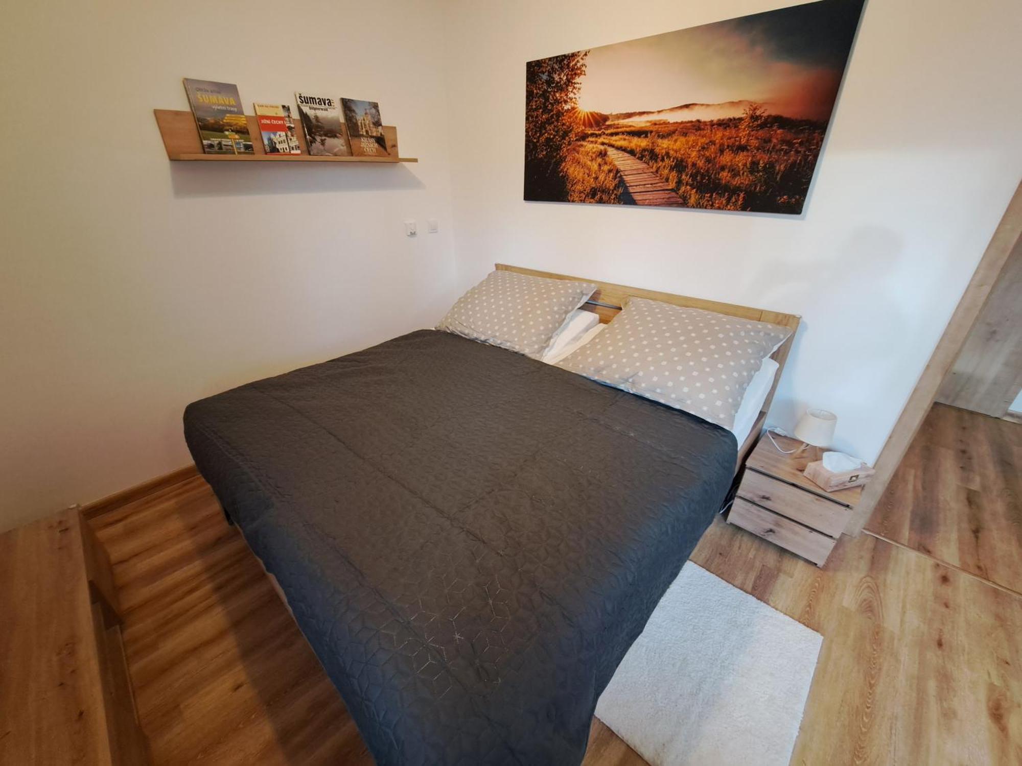 Apartmany - Male Lipno Cerna v Posumavi Bilik gambar